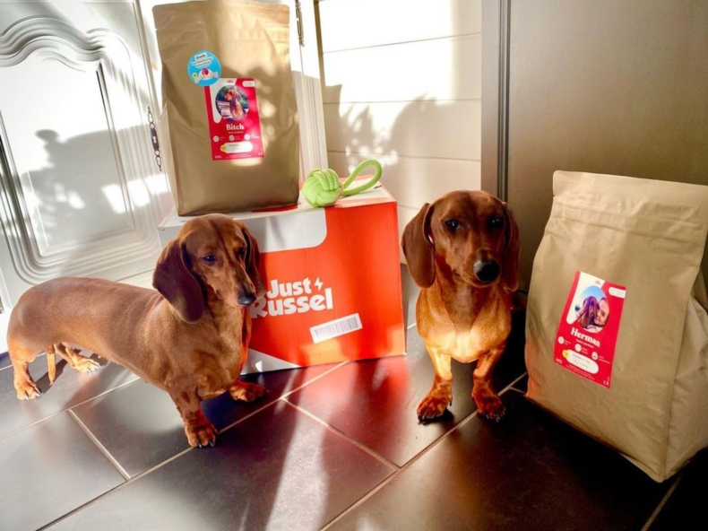 Twee honden bij hun eten