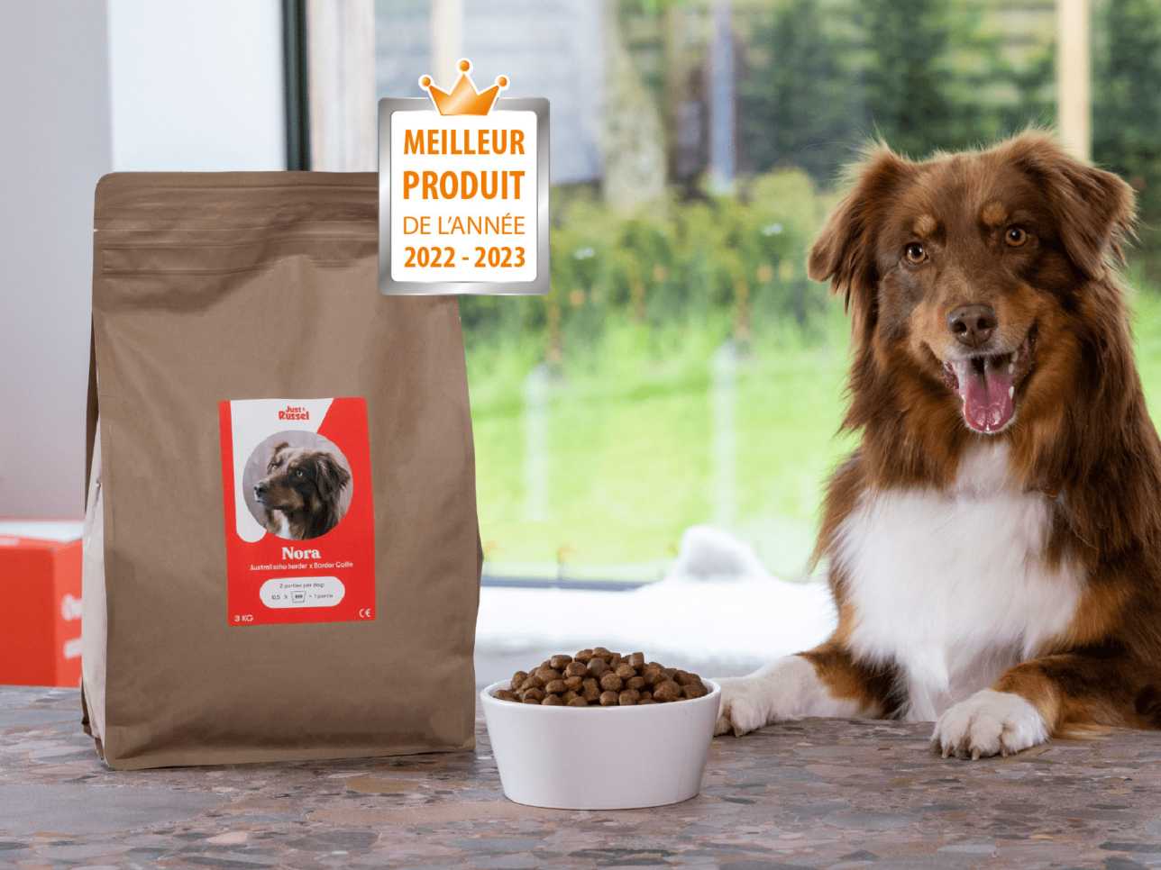 Custom made 2025 dog food