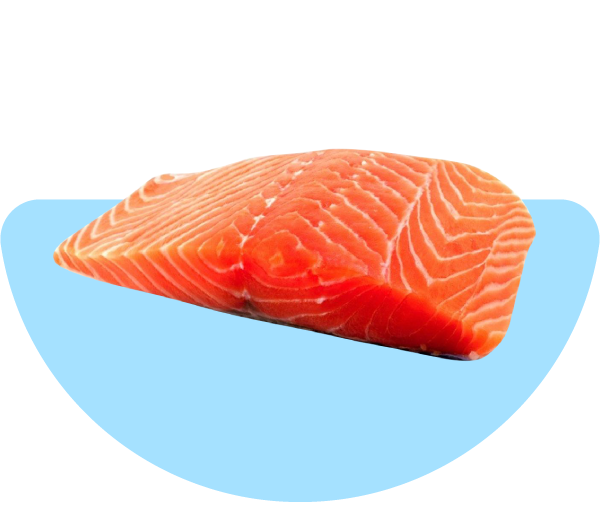 Zalm als ingrediënt voor hondenvoeding