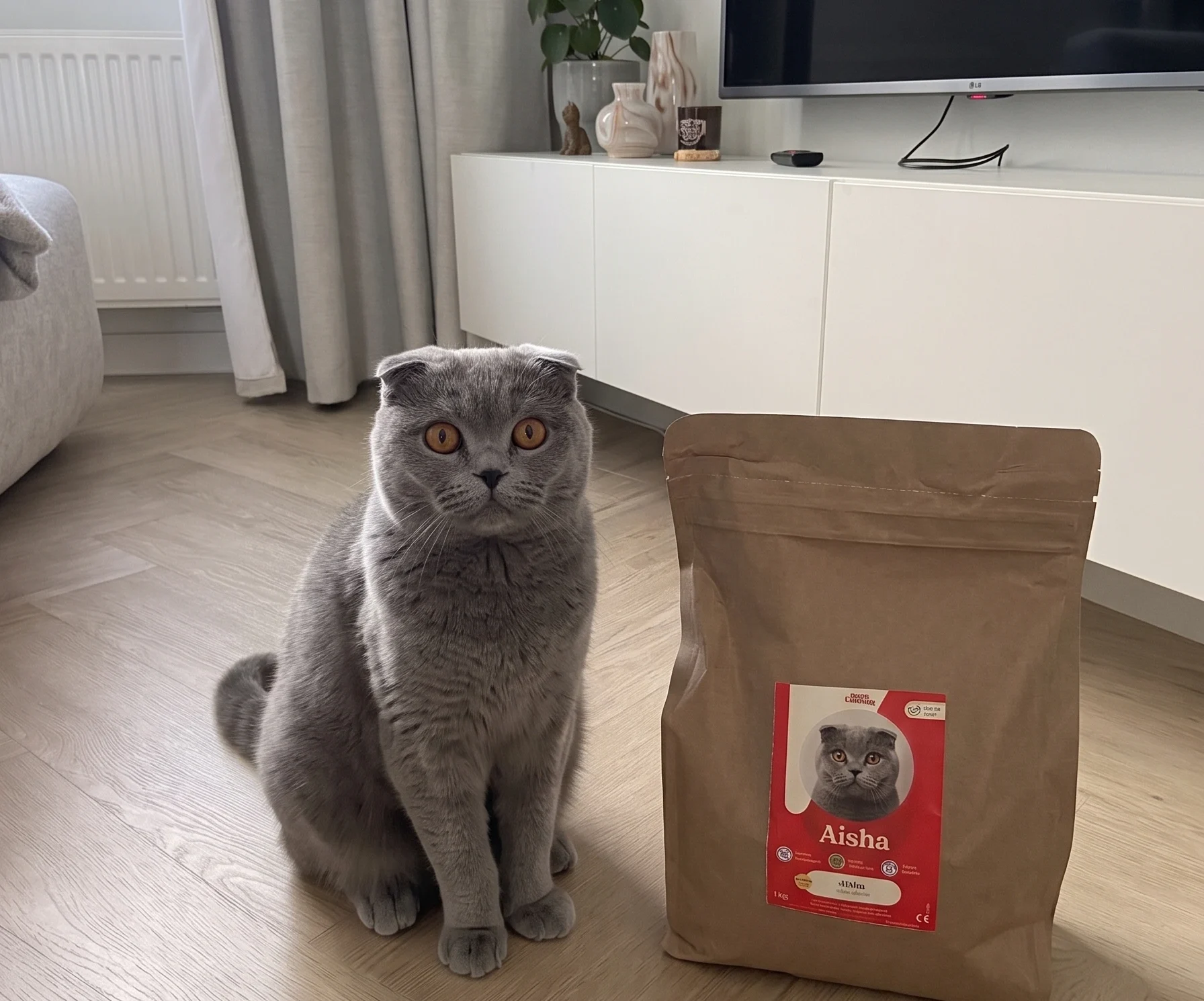 Scottisch fold eten