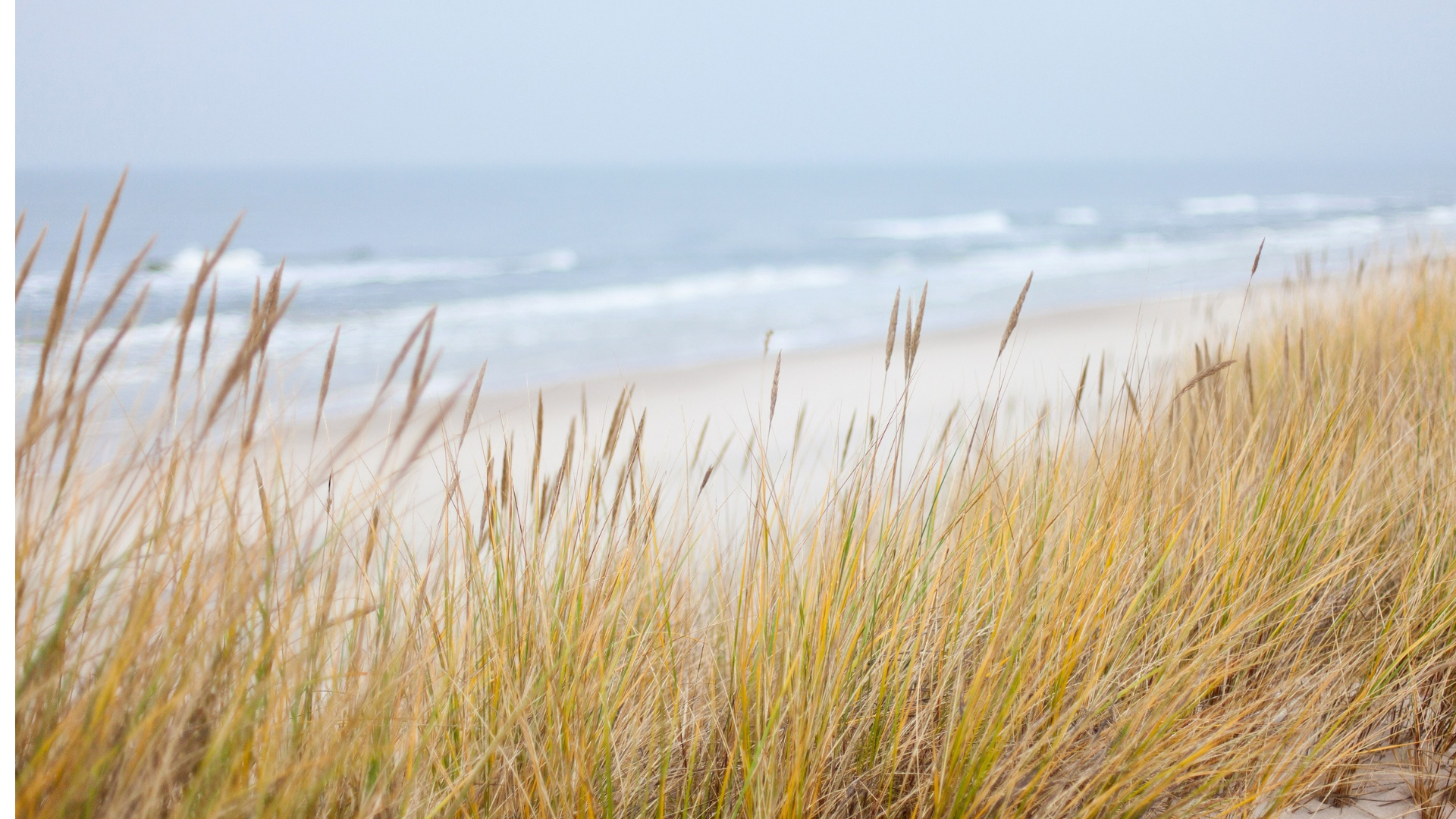 Le vent soufle sur les Dunes d'Achterste et Wildertse