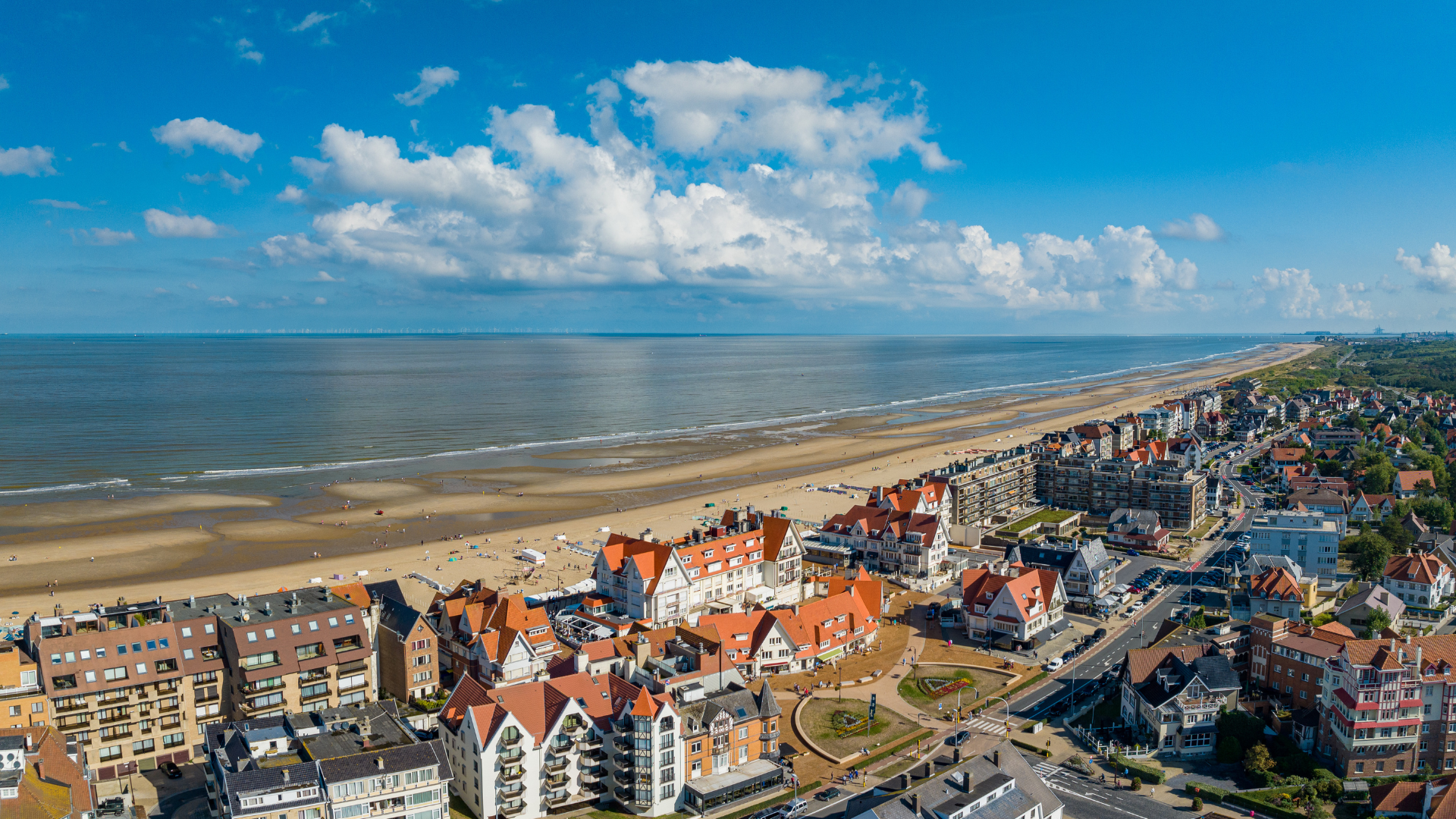 La plage De Haan où les chiens peuvent se promener librement