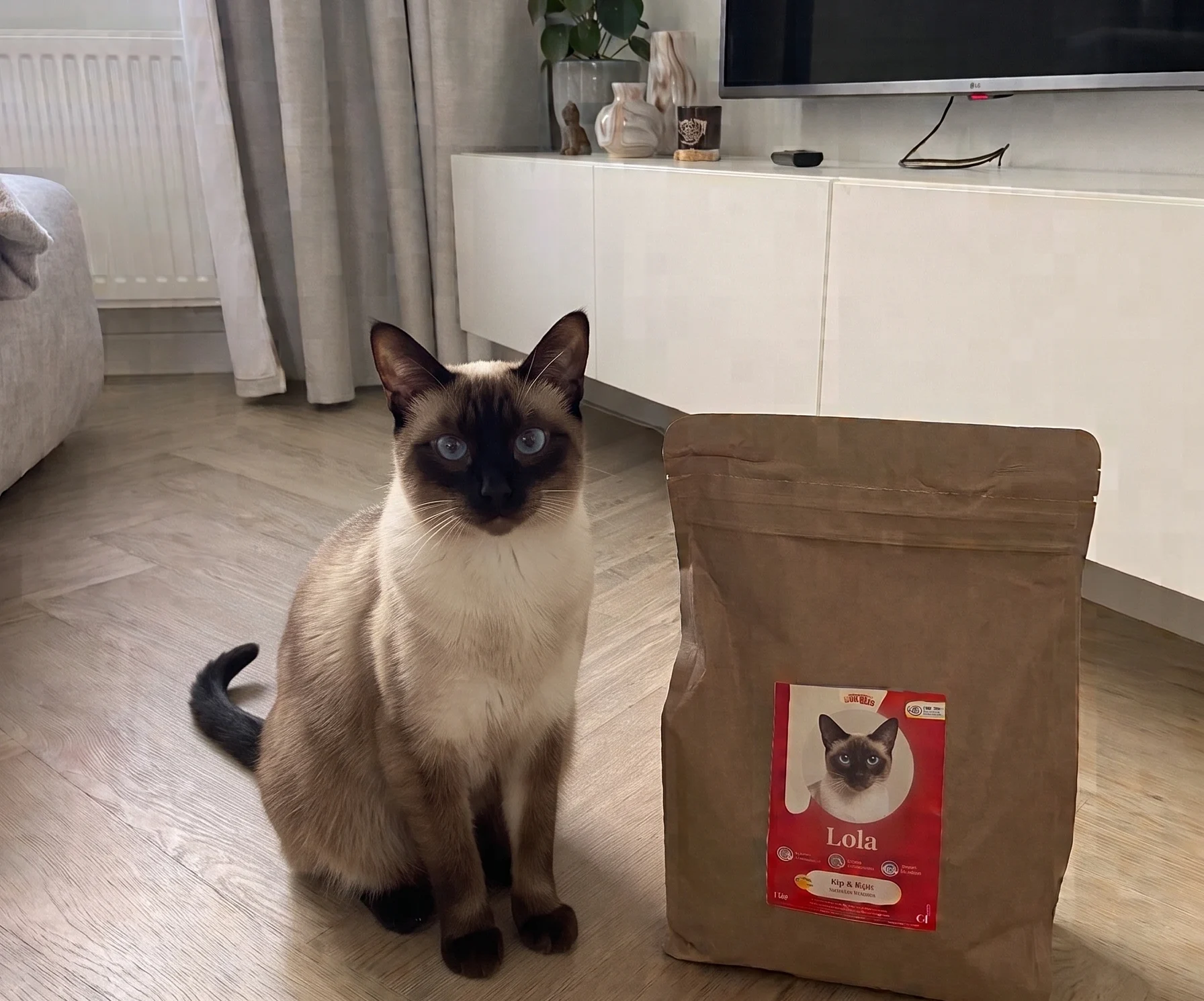 Siemese kat voeding