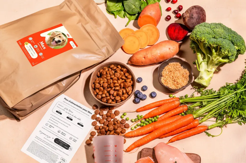 Just Russel kibbles with personalized feeding plan