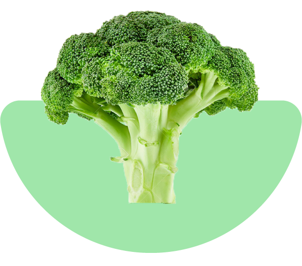 Broccoli als ingrediënt voor hondenvoeding