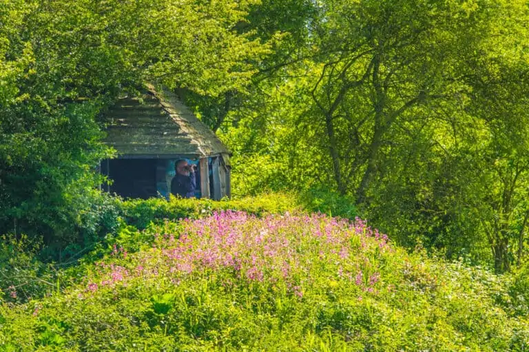 Un homme observe le domaine provincial de Gavers avec ses jumelles