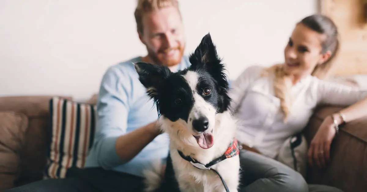 Un couple souriant est assis sur un canapé, avec un chien noir et blanc au premier plan, regardant la caméra avec un air joyeux