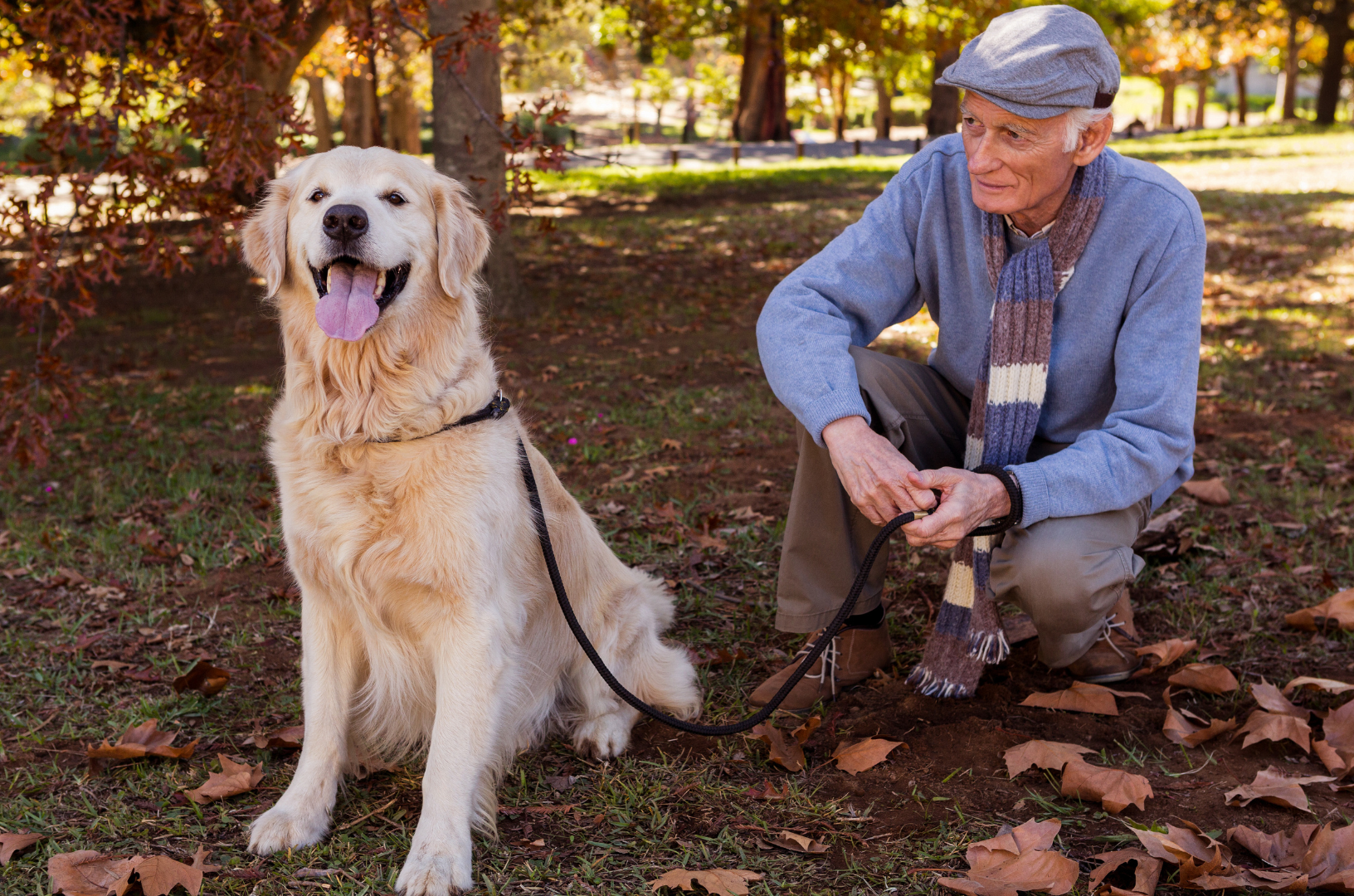 personne âgée regardant son chien