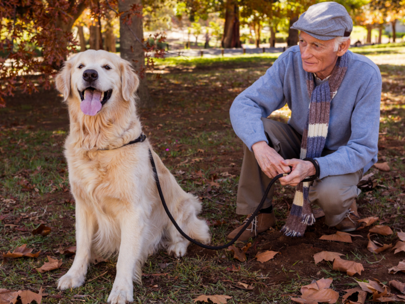 personne âgée regardant son chien