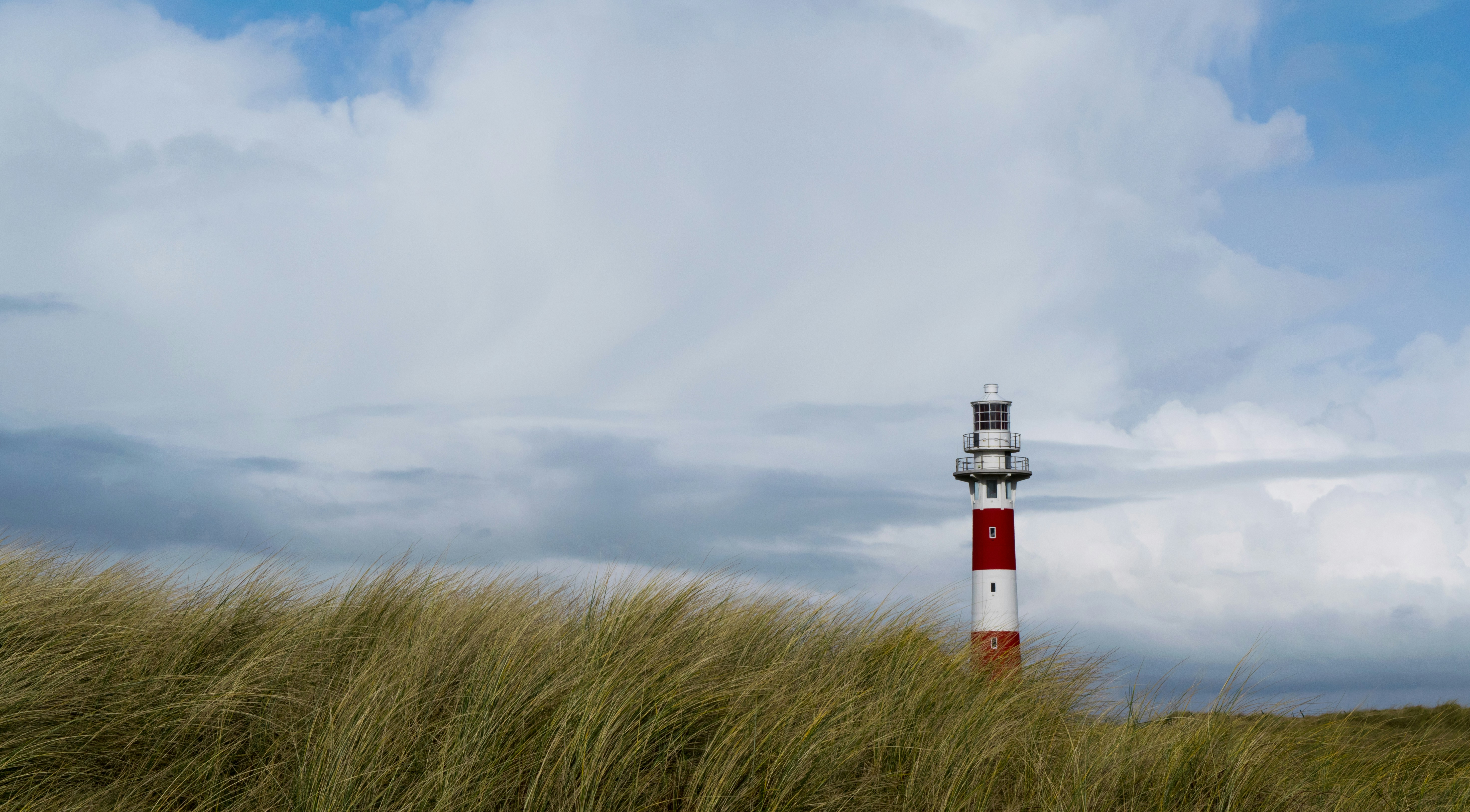 La plage de Nieuwpoort où les chiens peuvent se promener en liberté