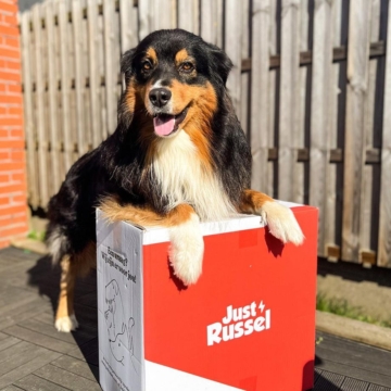 Hond die op zijn doos van Just Russel leunt