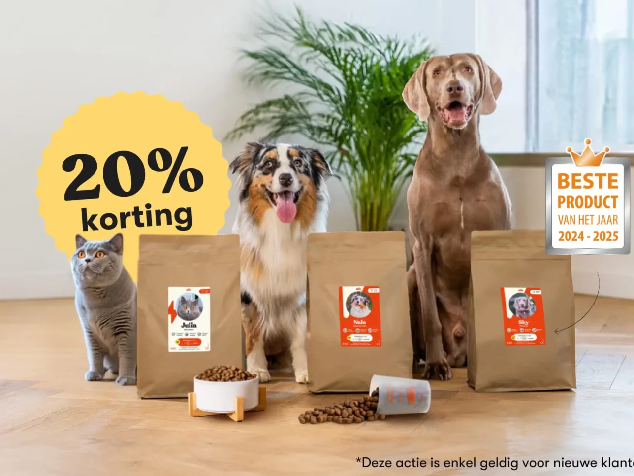 Affiliate Banner Belgium