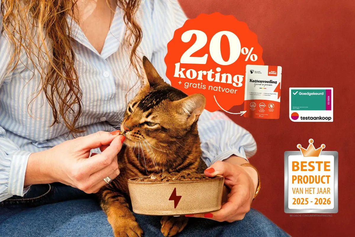 Gepersonaliseerde kattenvoeding