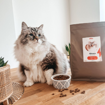 Alvaro heeft een mooiere vacht