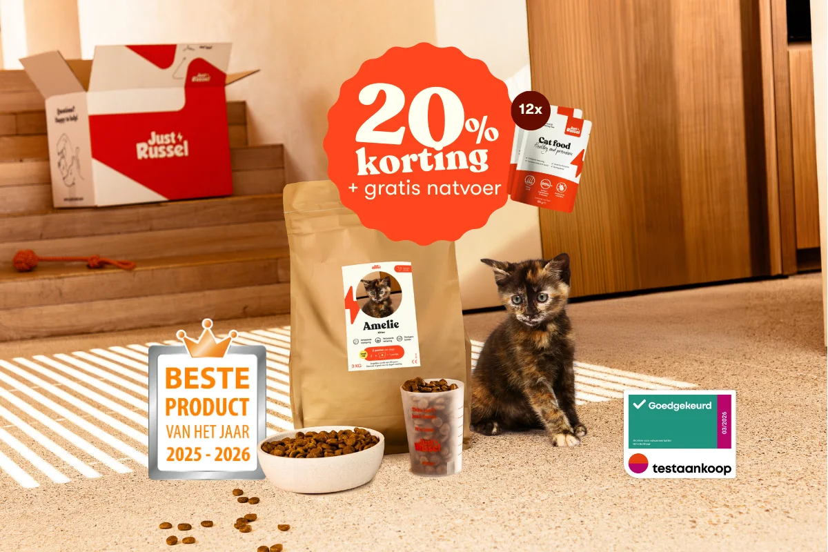 Gepersonaliseerde kittenvoeding