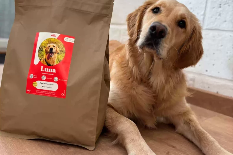 Golden retriever review