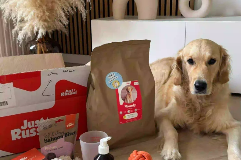 Golden retriever review