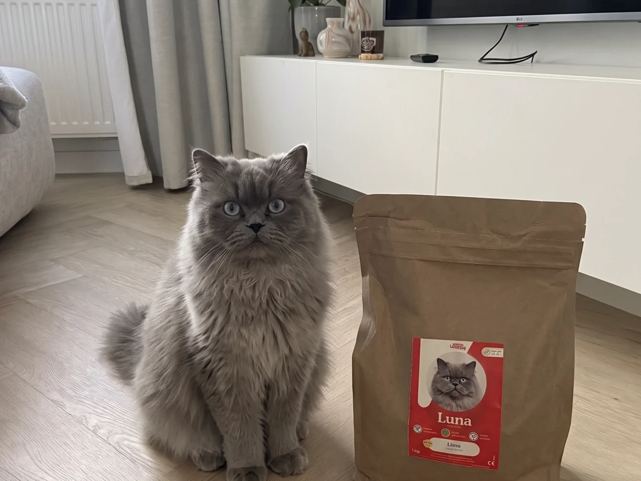 Perzische kat Luna eten