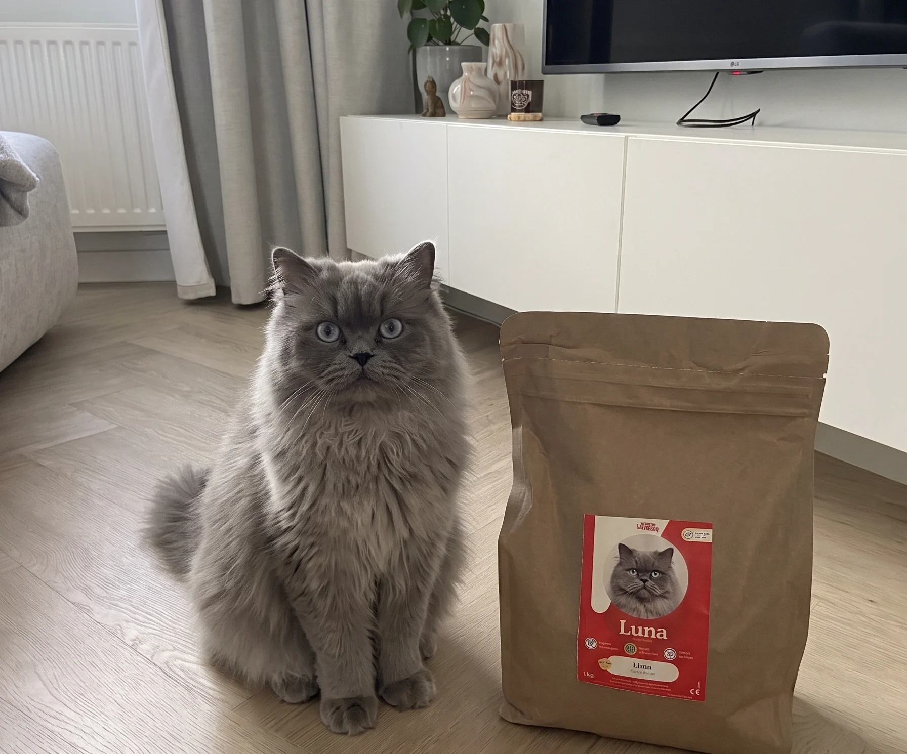 Perzische kat Luna eten