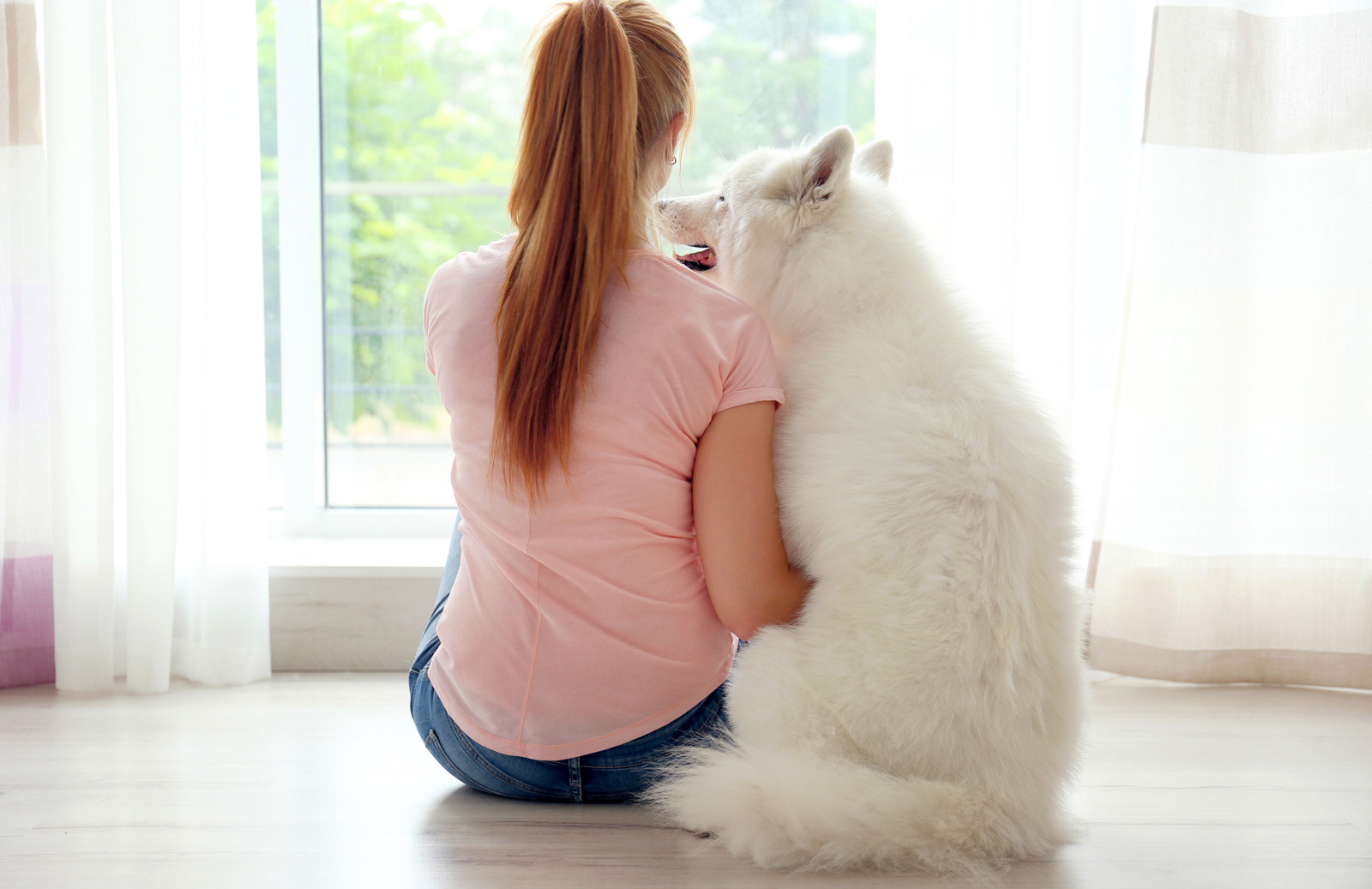 Meisje en witte hond zitten op de vloer voor schuifraam, meisje denkt over kost van een verzekering voor haar hond