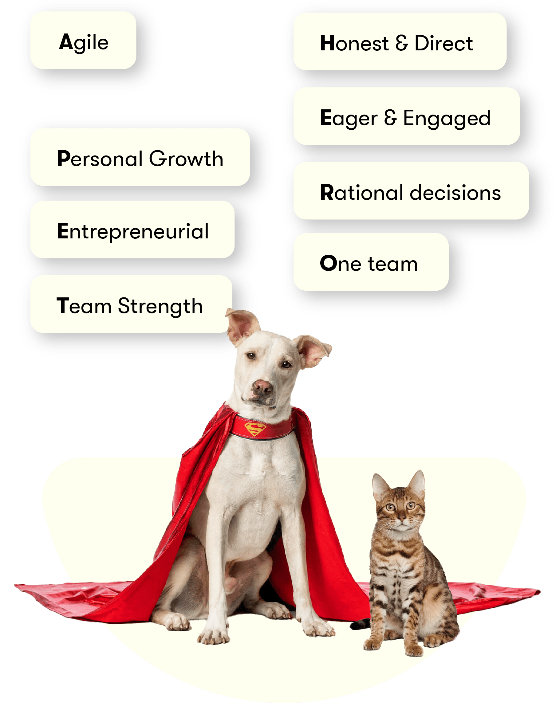 Hond en kat als superman afgebeeld