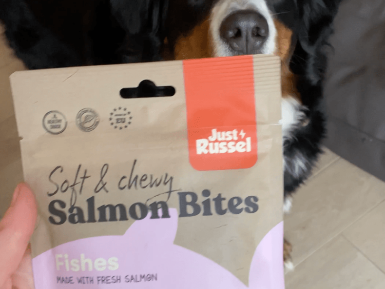 Salmon bites met hond op achtergrond