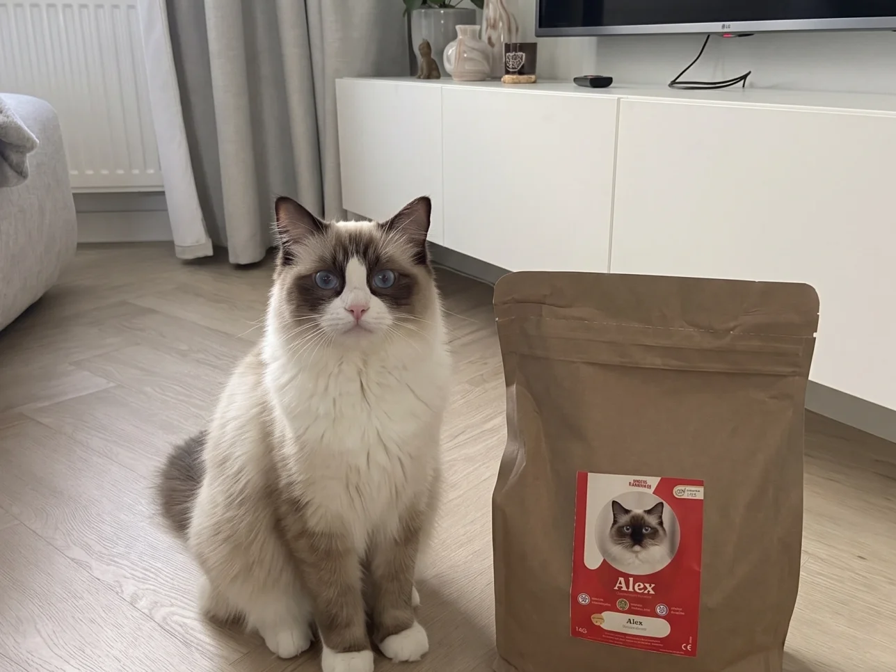 eten ragdoll