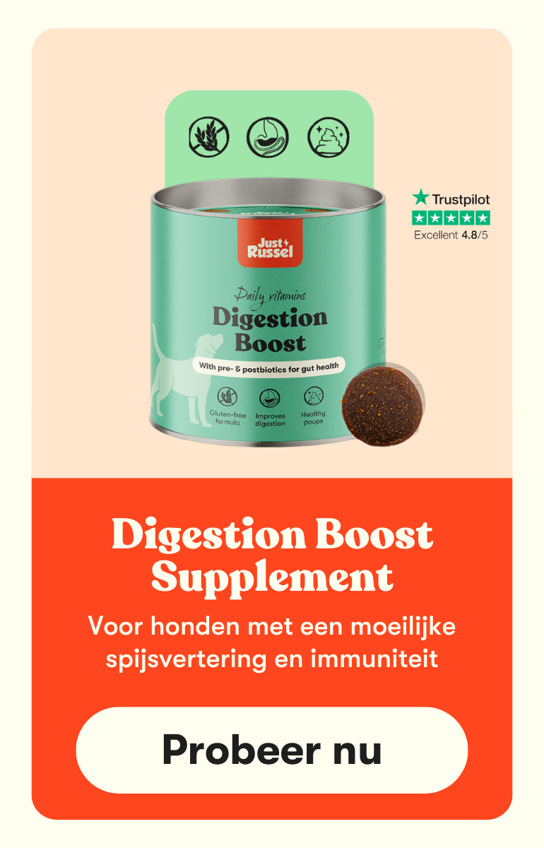 Digestion Boost probiotica supplementen voor honden