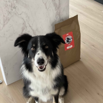 Hond is blij met haar eten