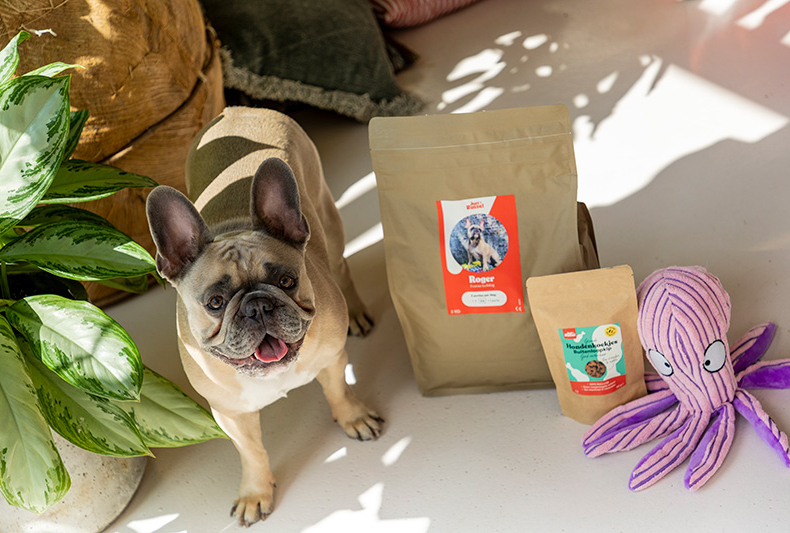 franse bulldog op de foto met hondenvoeding hondenkoekjes en hondenknuffel