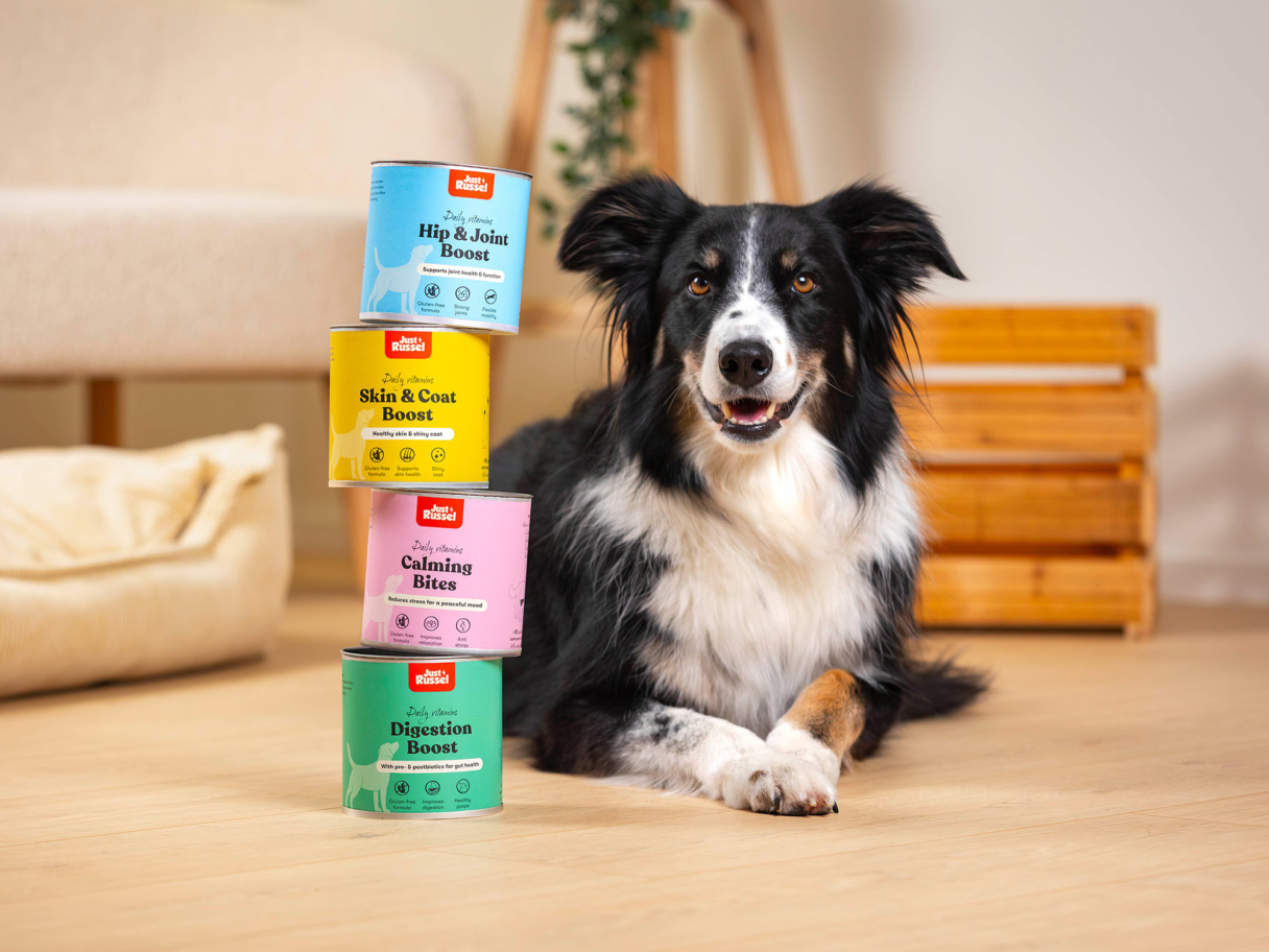 border collie met vitamines van Just Russel