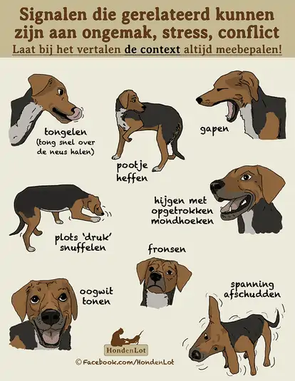 Schema met signalen van honden die stress ervaren