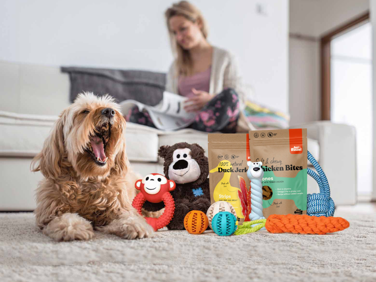 Kleine hond met speeltjes en vitaminen