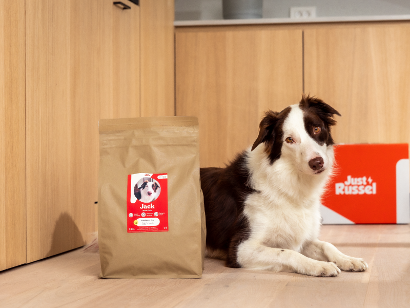 gepersonaliseerd hondenvoeding voor honden die de voedselallergie stopt door hyperallergeen