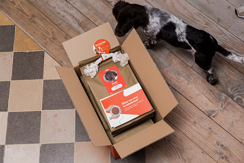 puppy wandelt rond just russel doos