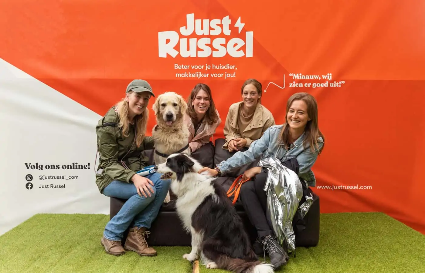 groepsfoto met honden op de just russel woefwalk