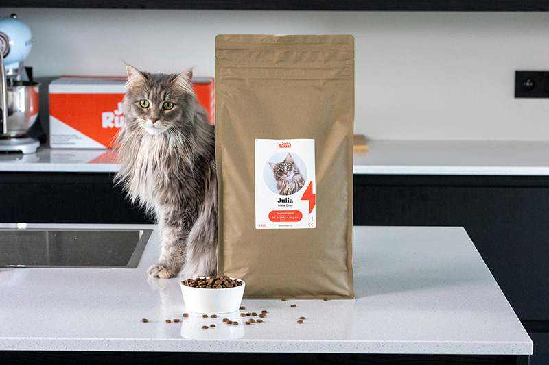 maine coon achter een zak van just russel kattenvoeding
