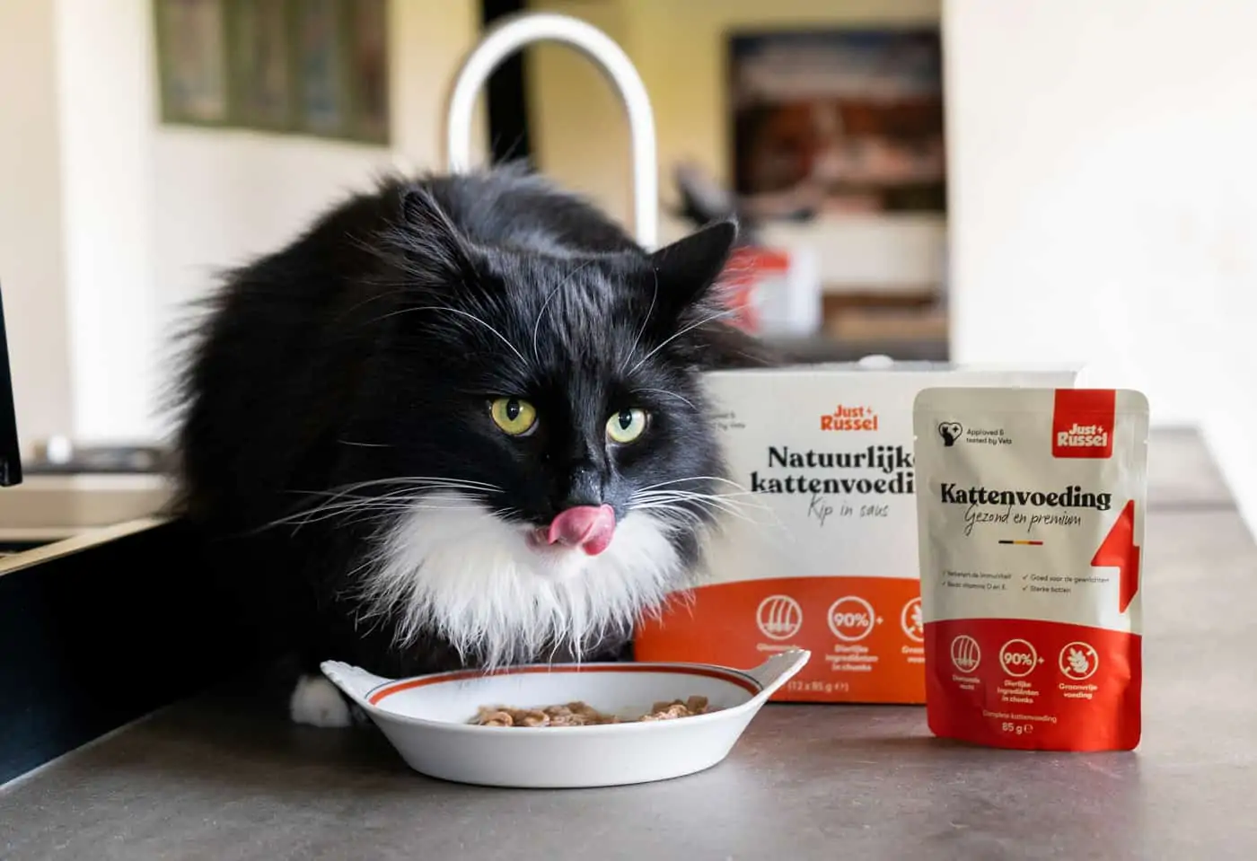 Tandheelkundig straal dilemma Voeding op maat van jouw kat | Just Russel